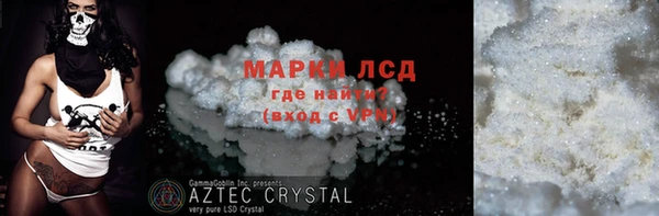 стаф Верея