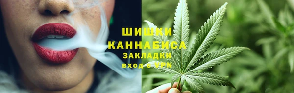 мдпв Новозыбков