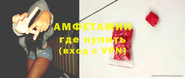 сатива Нягань