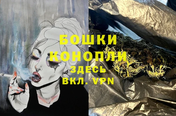 сатива Нягань