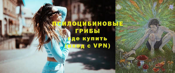 сатива Нягань