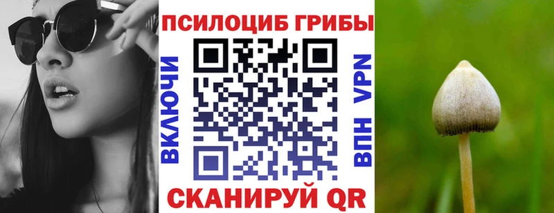 где купить наркоту  Заинск  Псилоцибиновые грибы Magic Shrooms 