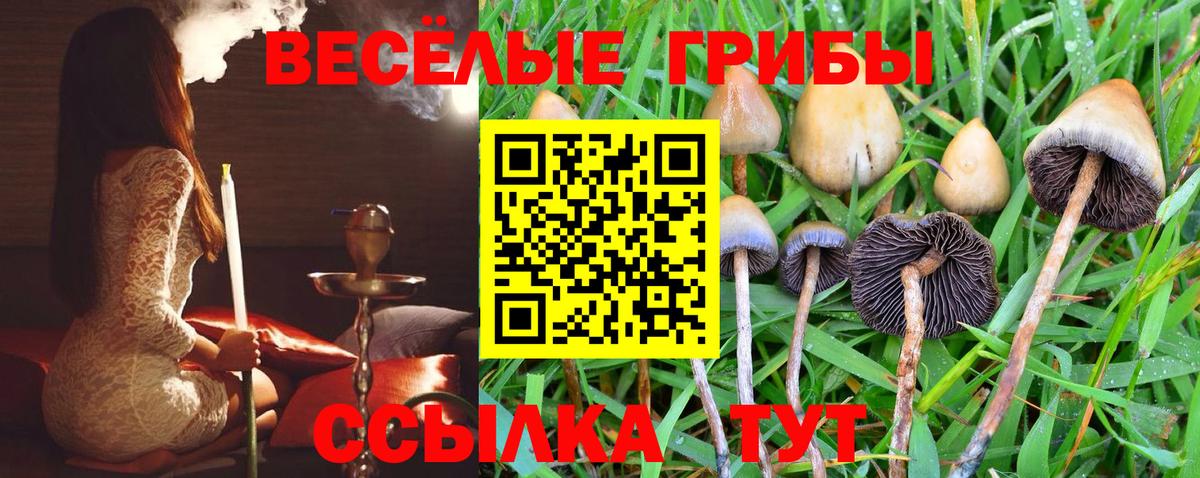 ЭКСТАЗИ  Заинск  МДМА  COCAIN  ГАШИШ  МЕФ кристаллы  А ПВП СК   МАРИХУАНА  Вход с VPN 