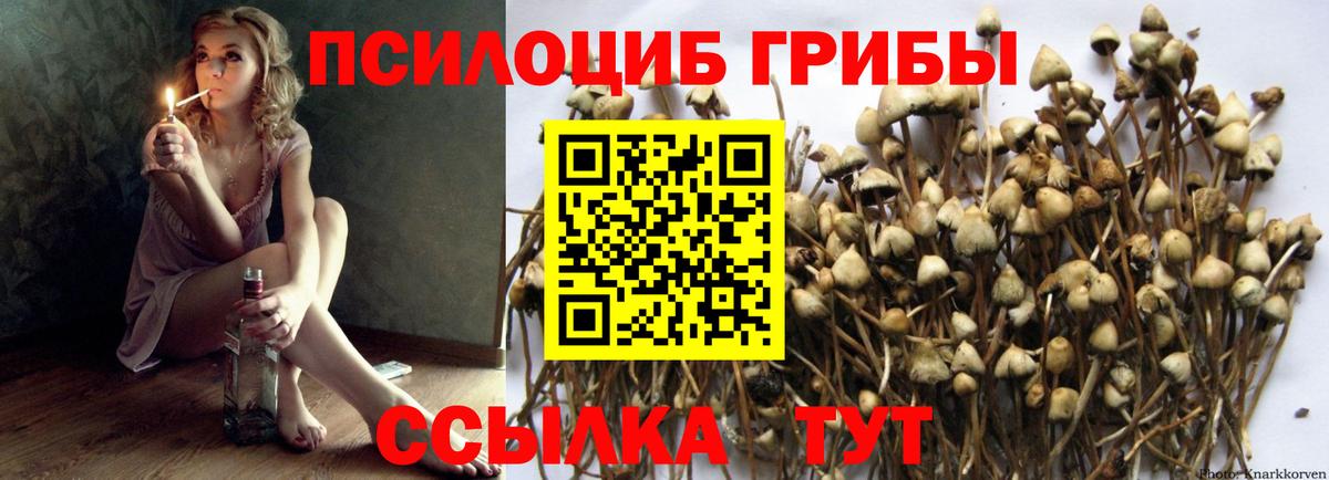 Псилоцибиновые грибы Psilocybine cubensis  Галлюциногенные грибы Psilocybine cubensis  Вход с VPN  Заинск 